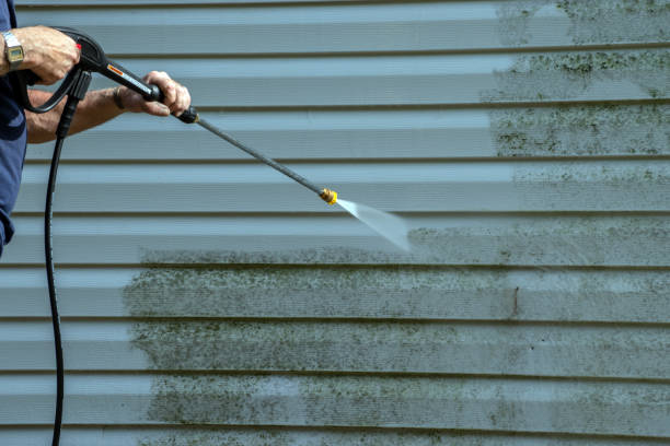 Professional Pressure Washing in Juno Beach, FL